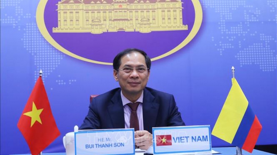 Vietnam, Panama hold online talks on bilateral ties